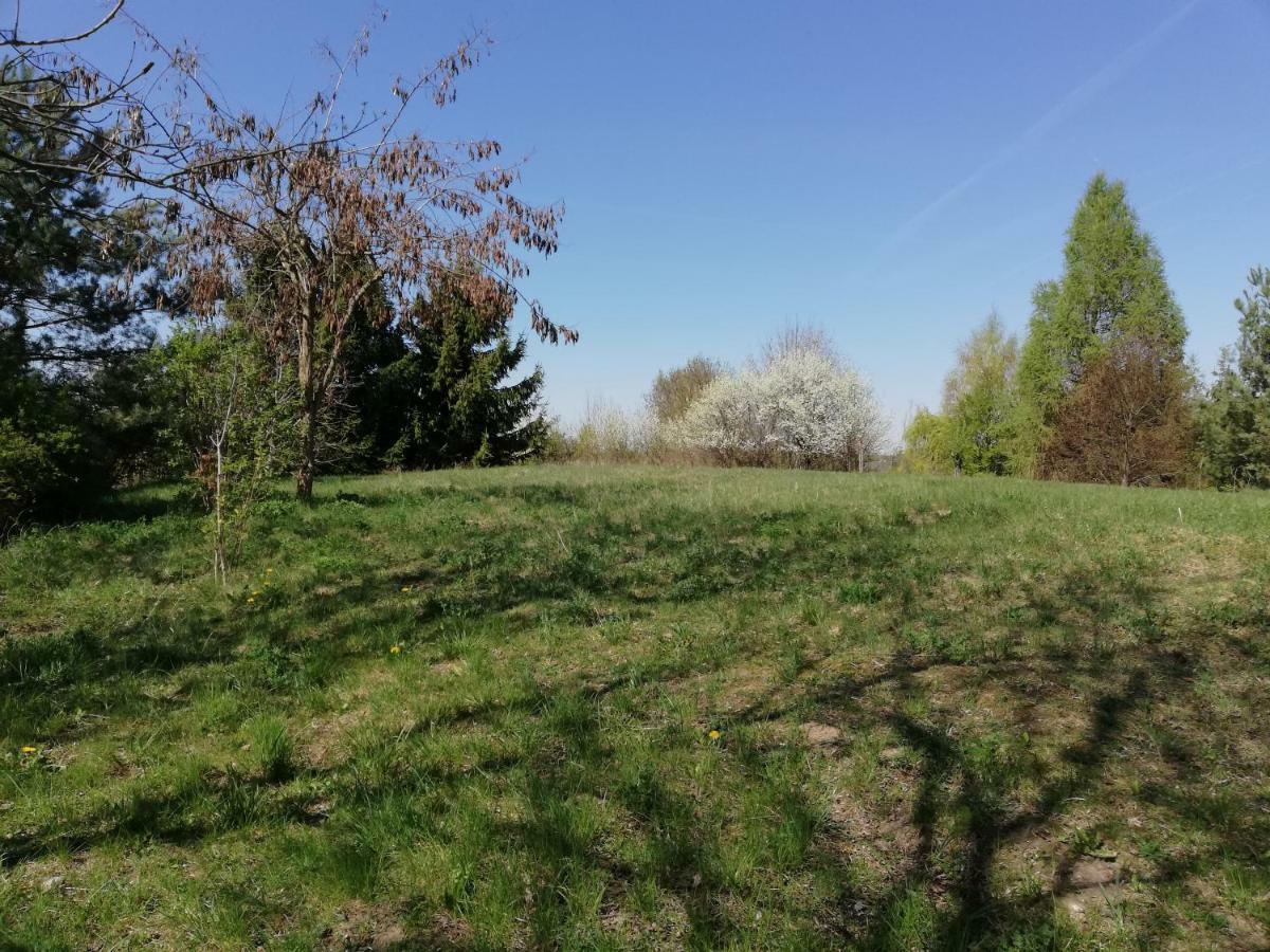 Wakacje Nad Jeziorem W Chlopowie Chlopowo  Buitenkant foto